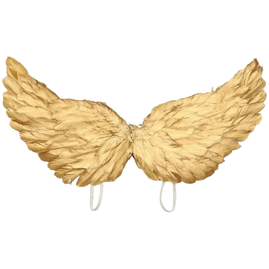 Saltburn Felix Catton Golden Feather Wings